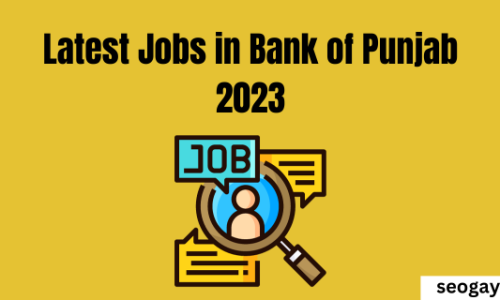 Latest Jobs in Bank of Punjab 2023-Apply Now