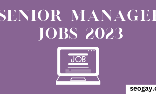 Senior Manager Jobs 2023-Apply Now